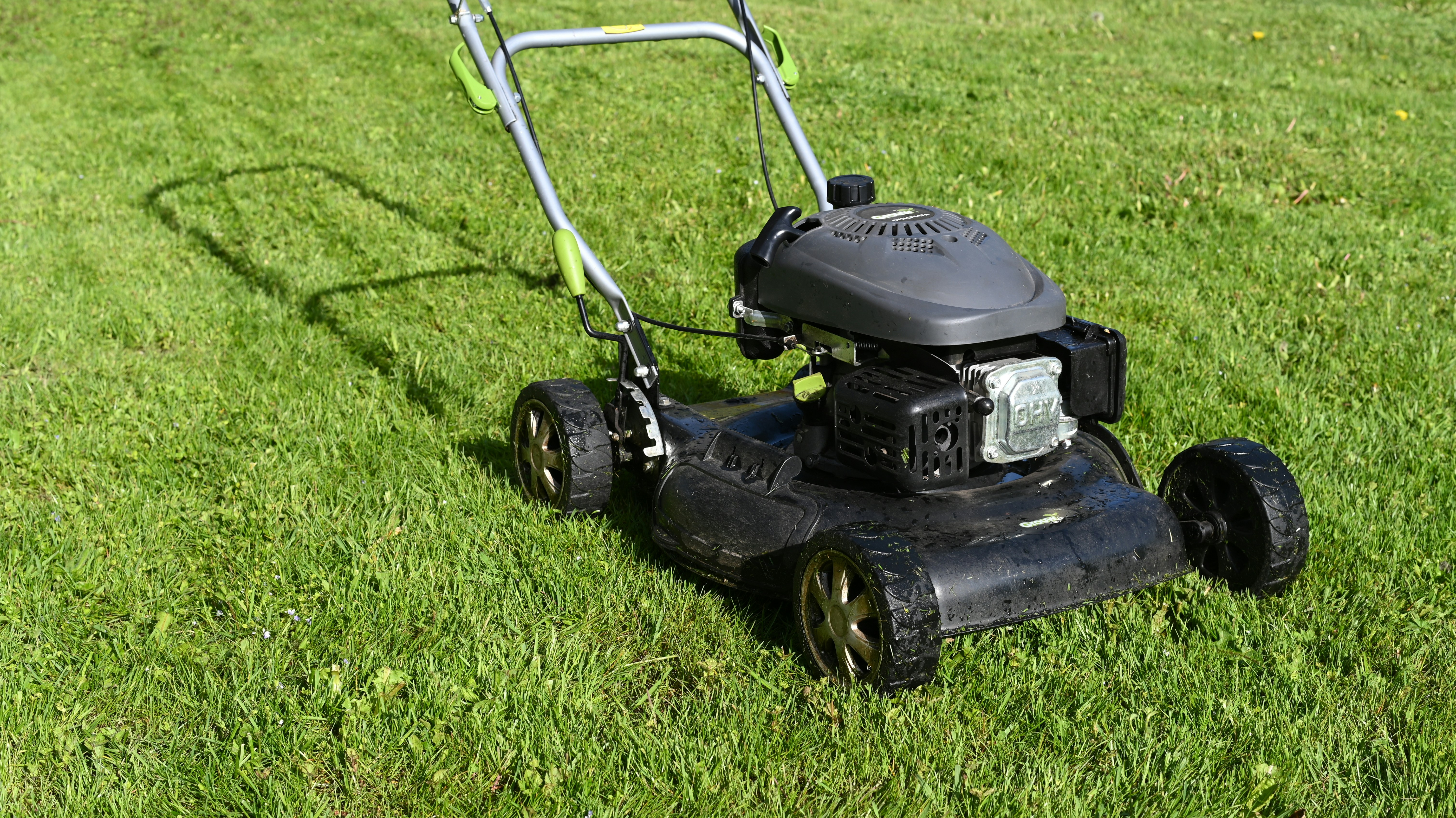 Gartenpflege